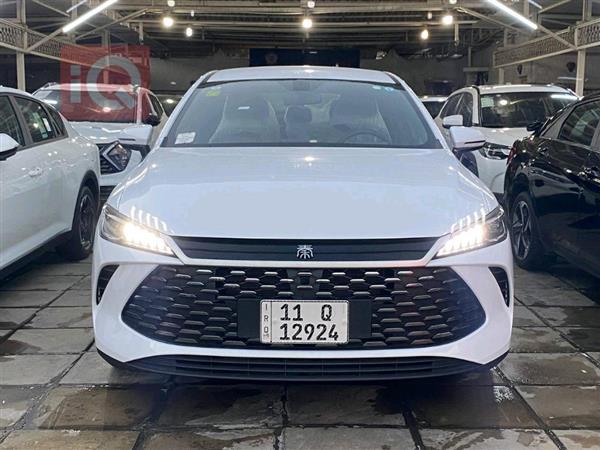 بي واي دي Qin Plus 2025 للبيع في العراق -  بغداد